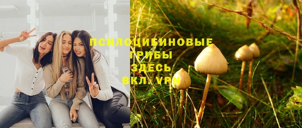 дурь Армянск