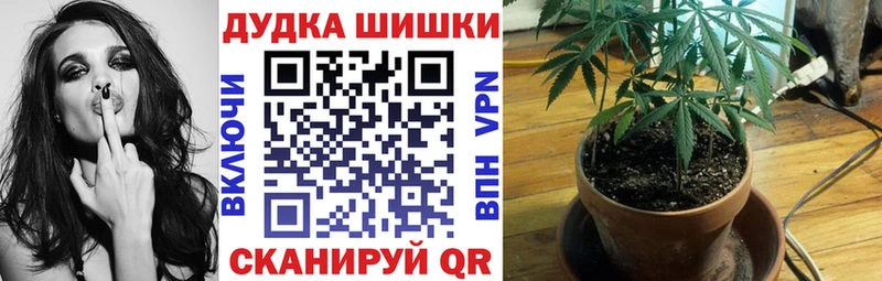 Шишки марихуана THC 21%  Купить где  Сычёвка 